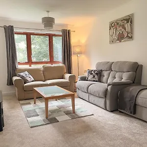 https://spacious-central-and-newly-decorated-apartment.edinburghhotelsuk.org
