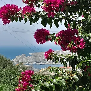 Luxury Dennis Casa vacanze